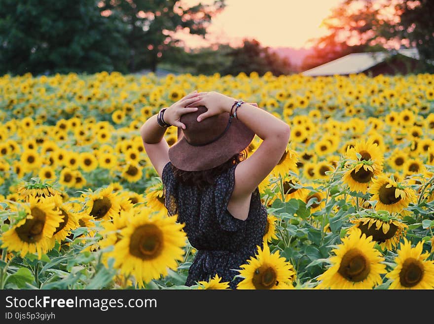 Photo of Woman in Black Dress Standing on Sunflower Field