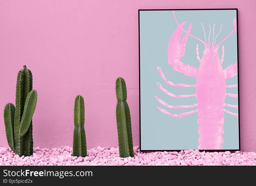 Three Green Cactus and Pink Beside Craw-fish Painting