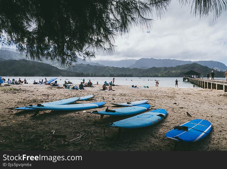 Blue Surfboards on Shore