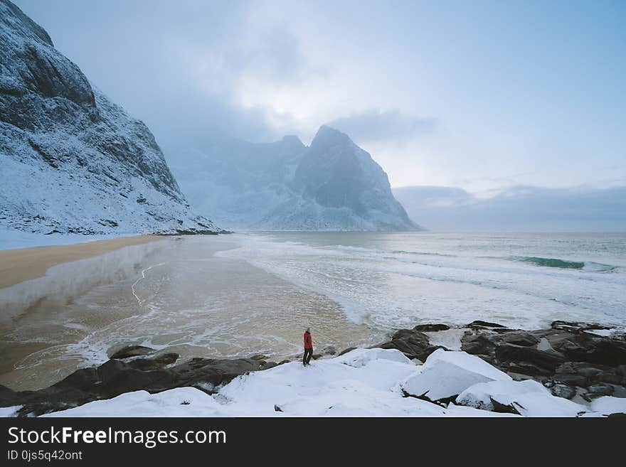 Person Wearing Red Jacket on Seashore