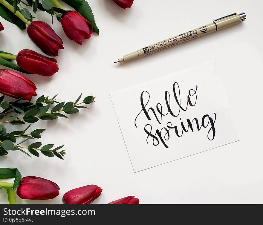 Hello Spring Handwritten Paper