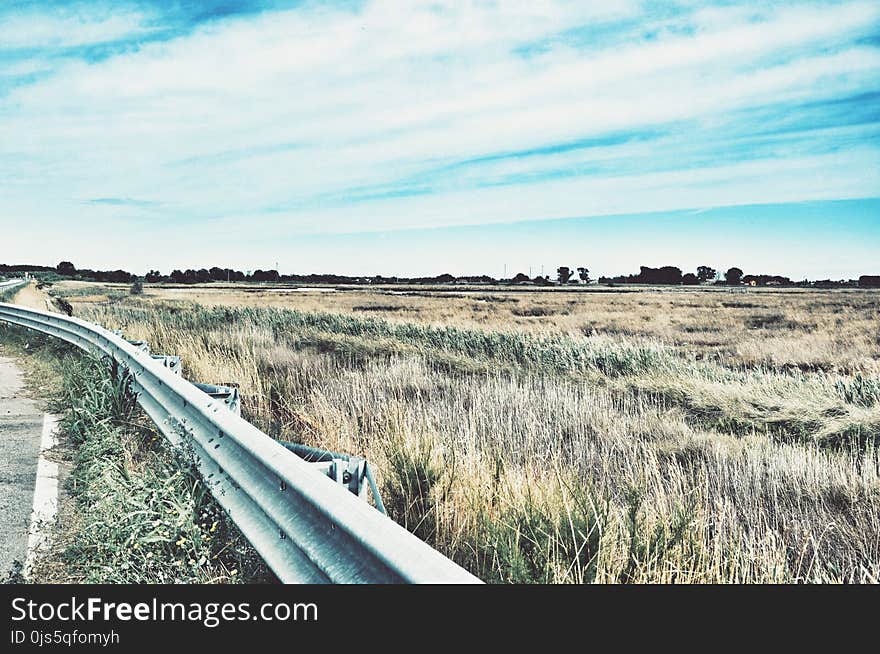 Photo of Road Railing Near Grasses