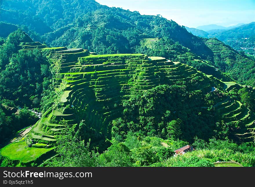 Banaue Rice Terraces