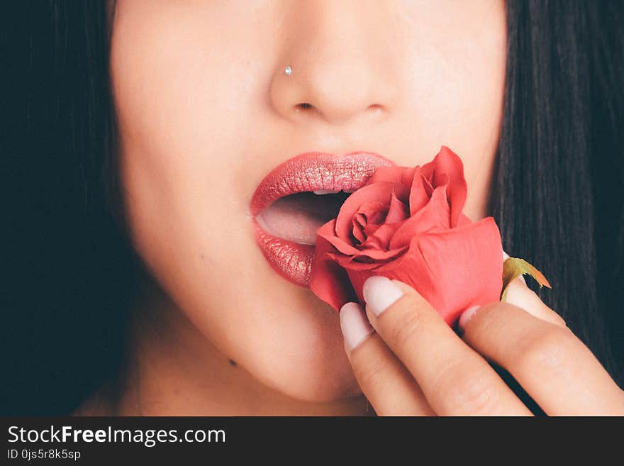 Photography of Woman Holding Red Rose