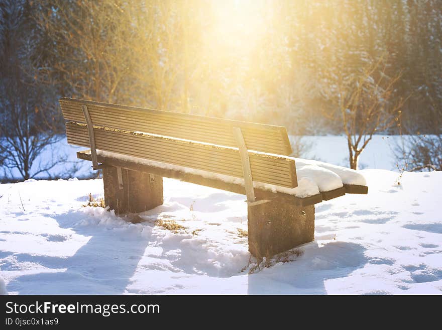 Snow, Winter, Freezing, Wood