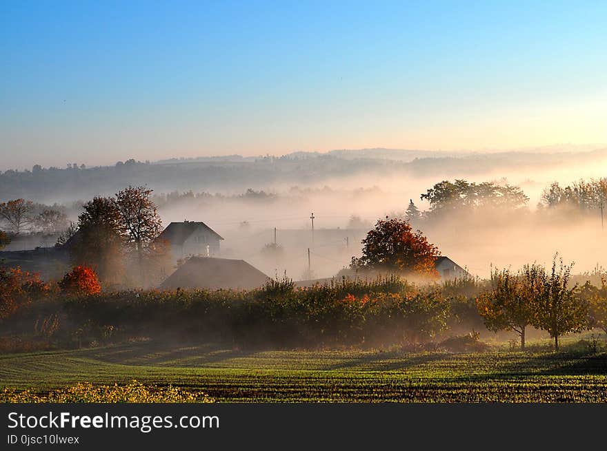 Mist, Dawn, Sky, Morning