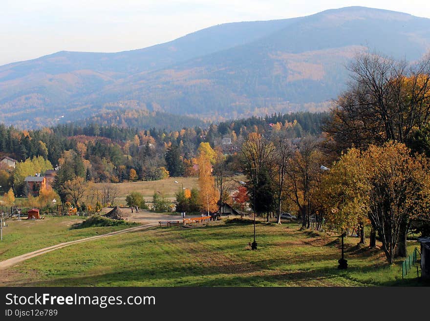 Nature, Leaf, Wilderness, Autumn