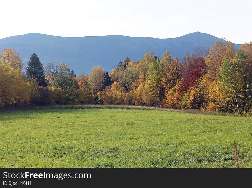 Grassland, Ecosystem, Nature, Pasture