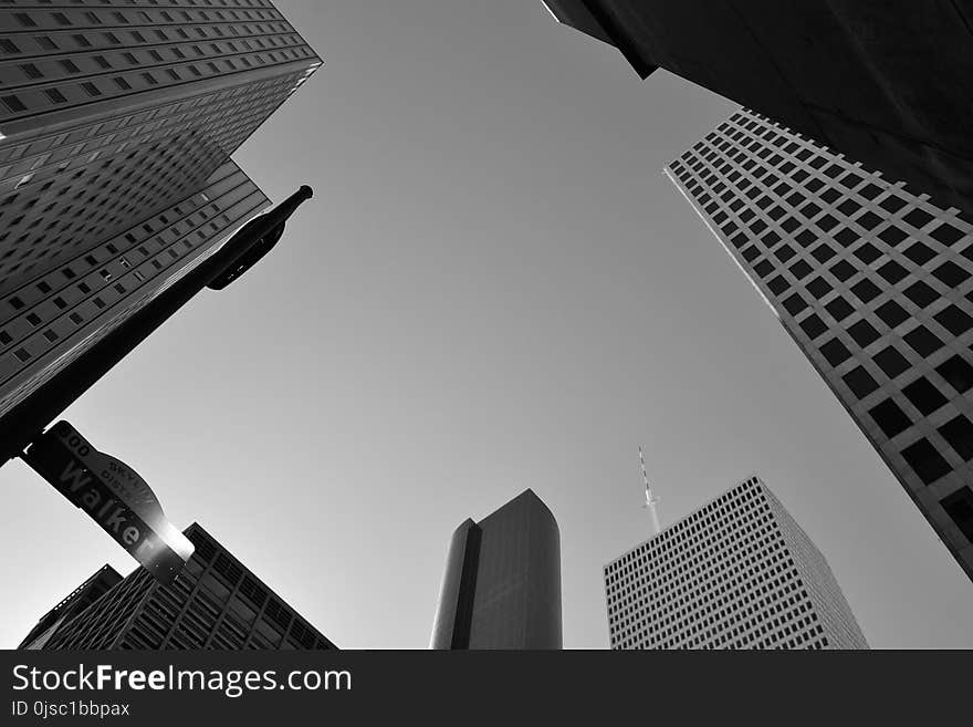 Skyscraper, Daytime, Building, Black And White