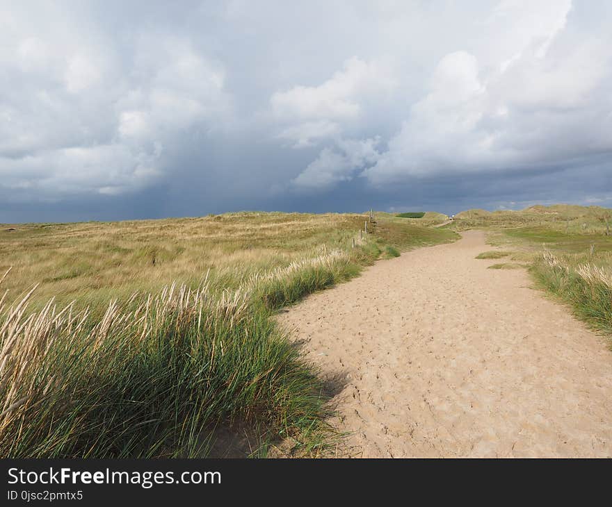 Ecosystem, Sky, Grassland, Cloud