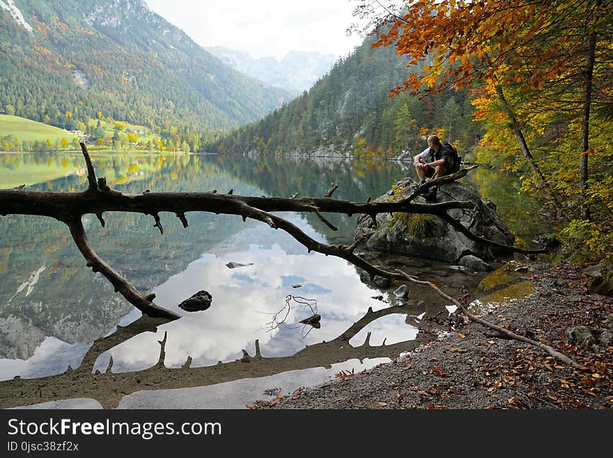 Water, Wilderness, Leaf, Reflection