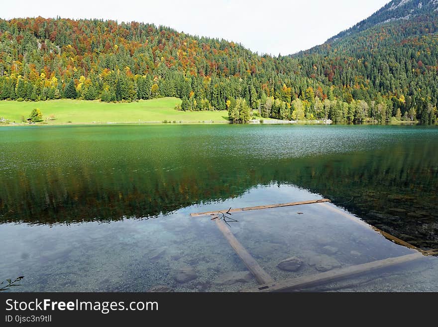 Nature, Reflection, Lake, Water