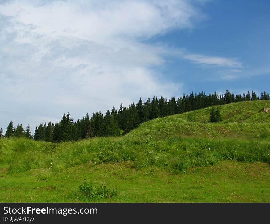 Grassland, Sky, Ecosystem, Highland