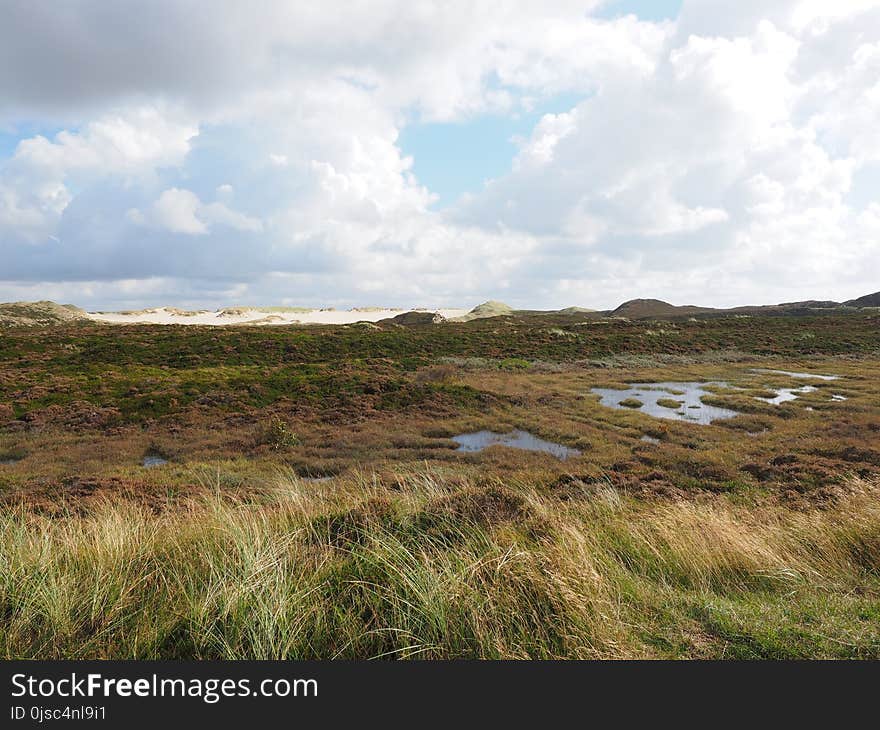 Grassland, Ecosystem, Highland, Wetland