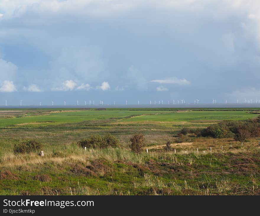 Grassland, Plain, Ecosystem, Prairie