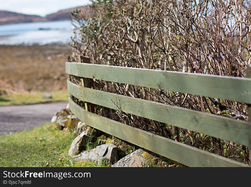 Grass, Plant, Fence, Outdoor Structure