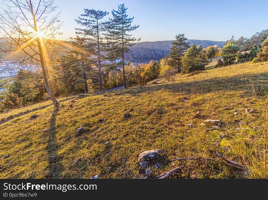 Wilderness, Ecosystem, Nature Reserve, Vegetation