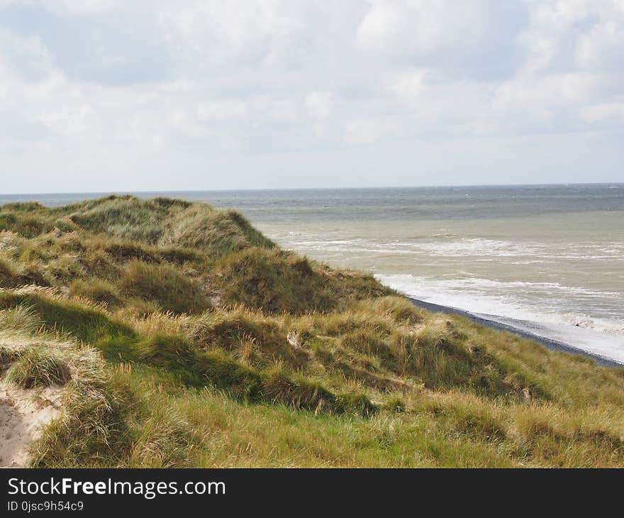 Coast, Shore, Ecosystem, Headland