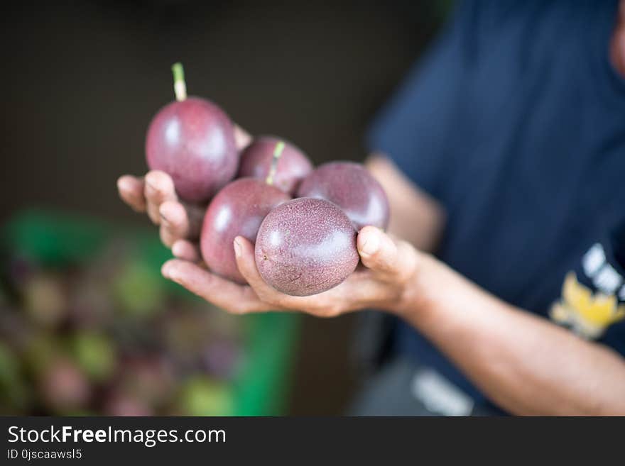 Fruit, Food, Produce, Hand