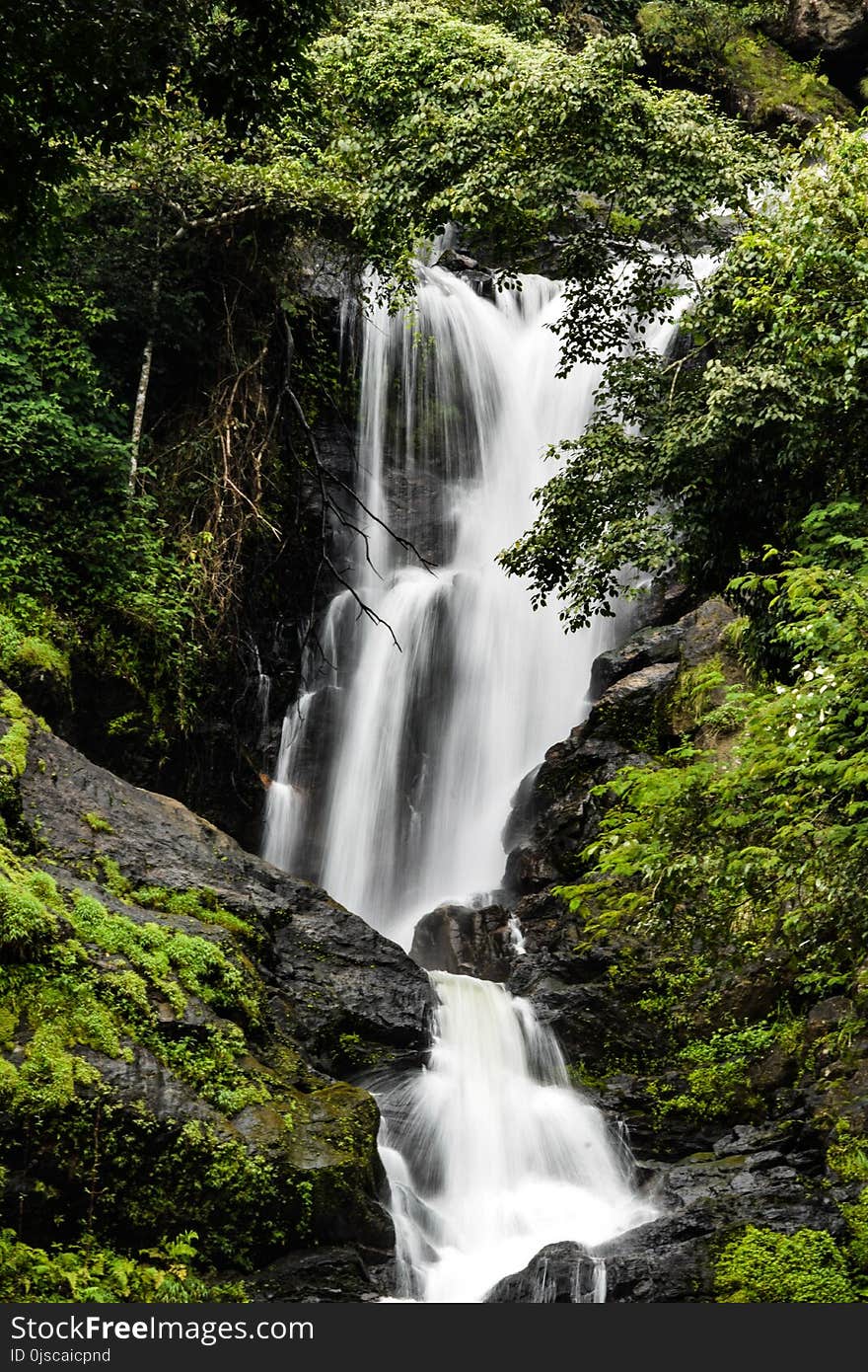 Waterfall, Water, Nature, Vegetation