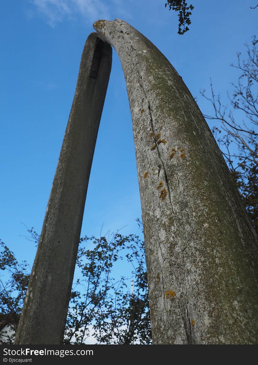 Tree, Sky, Arch, Monument