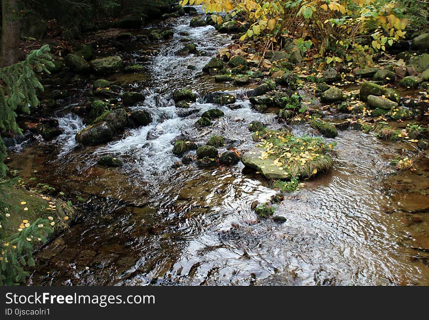 Water, Stream, Nature, Body Of Water