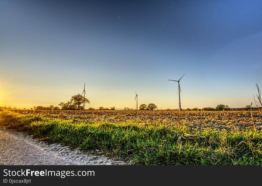 Field, Sky, Ecosystem, Windmill