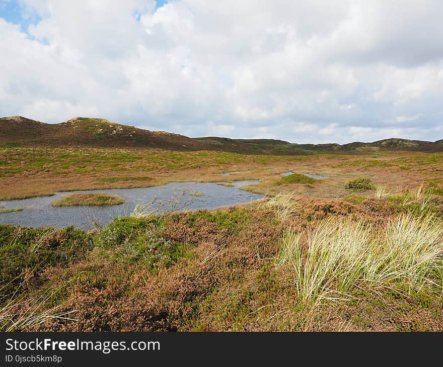 Grassland, Ecosystem, Nature Reserve, Loch