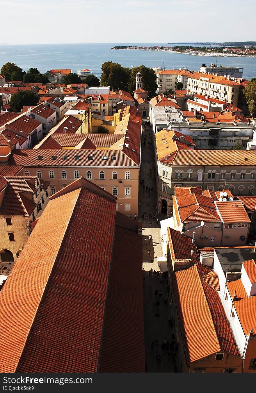 Roof, Town, Urban Area, City