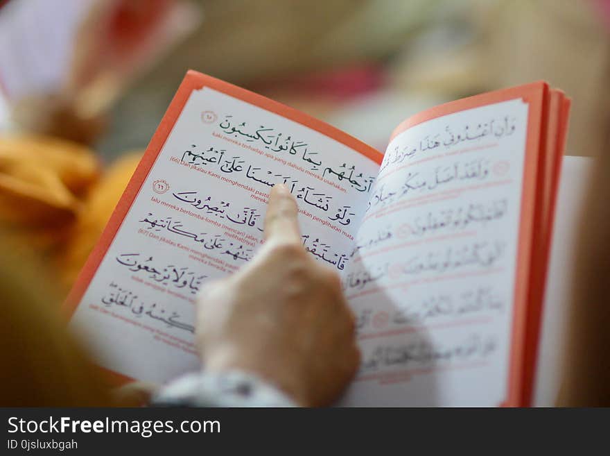 Shallow Focus Photography of Person Holding Book