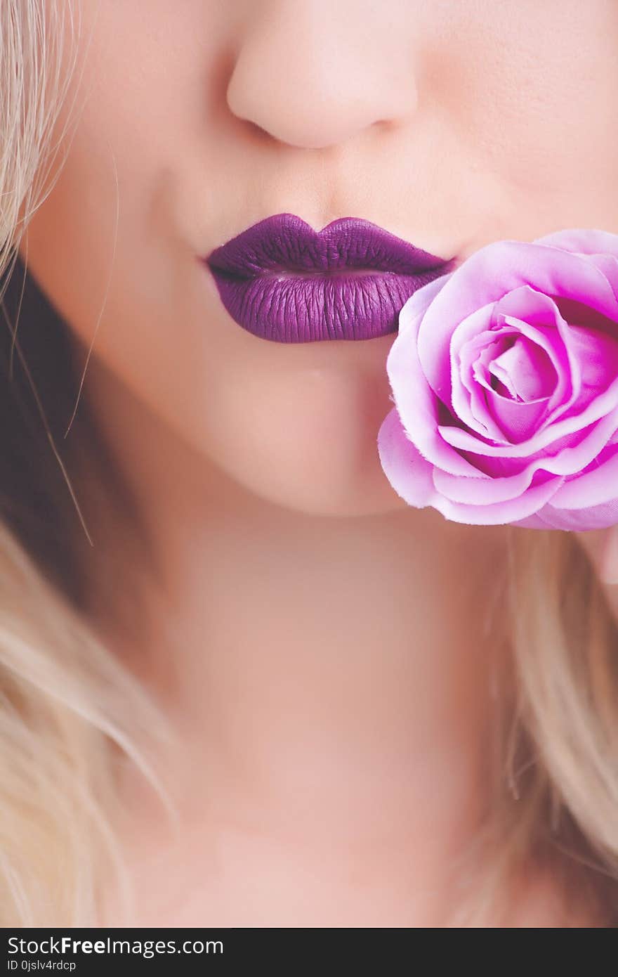 Woman Wearing Purple Lipstick With Pink Rose on Her Cheeks