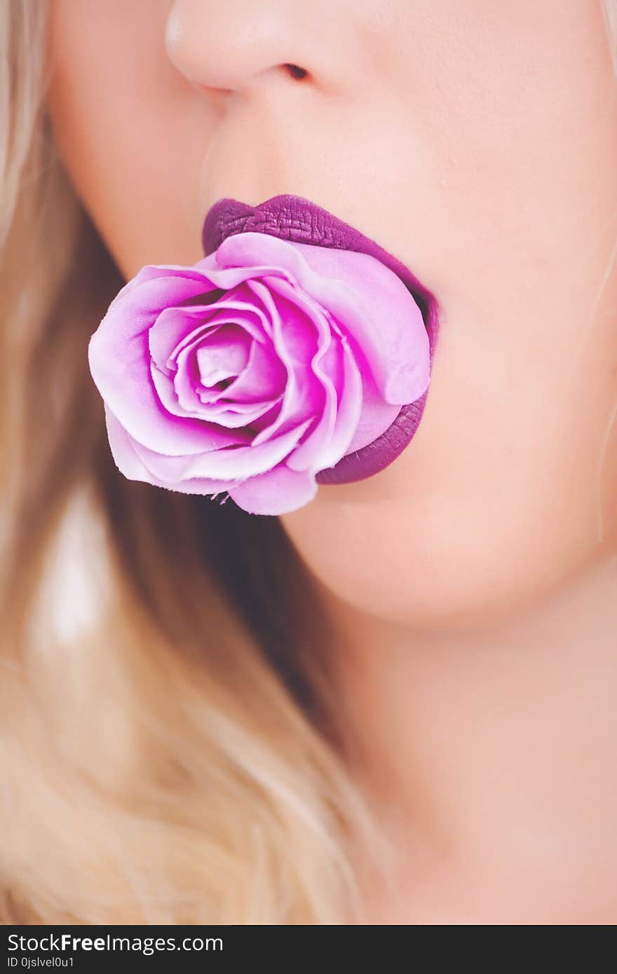 Pink Rose Flower on Woman&#x27;s Mouth