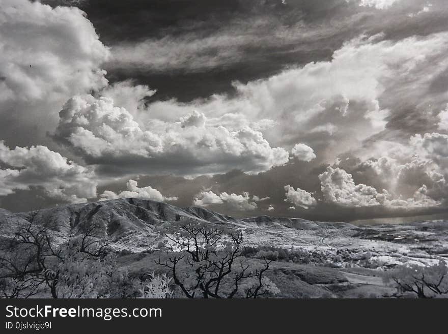 Snow Covered Trees Under Cumulonimbus Clouds