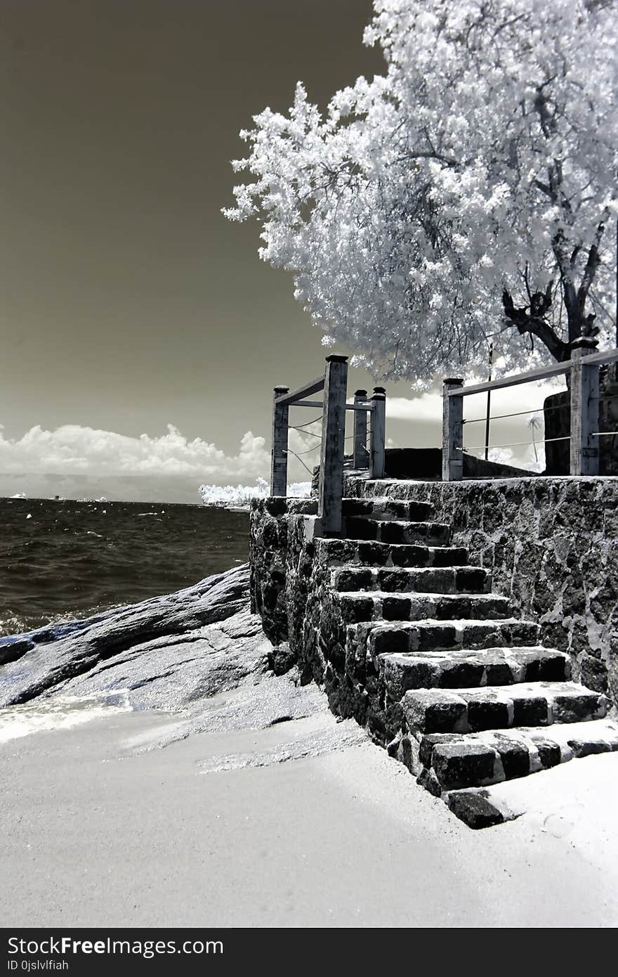 Photo of Trees and Stairs Near Ocean