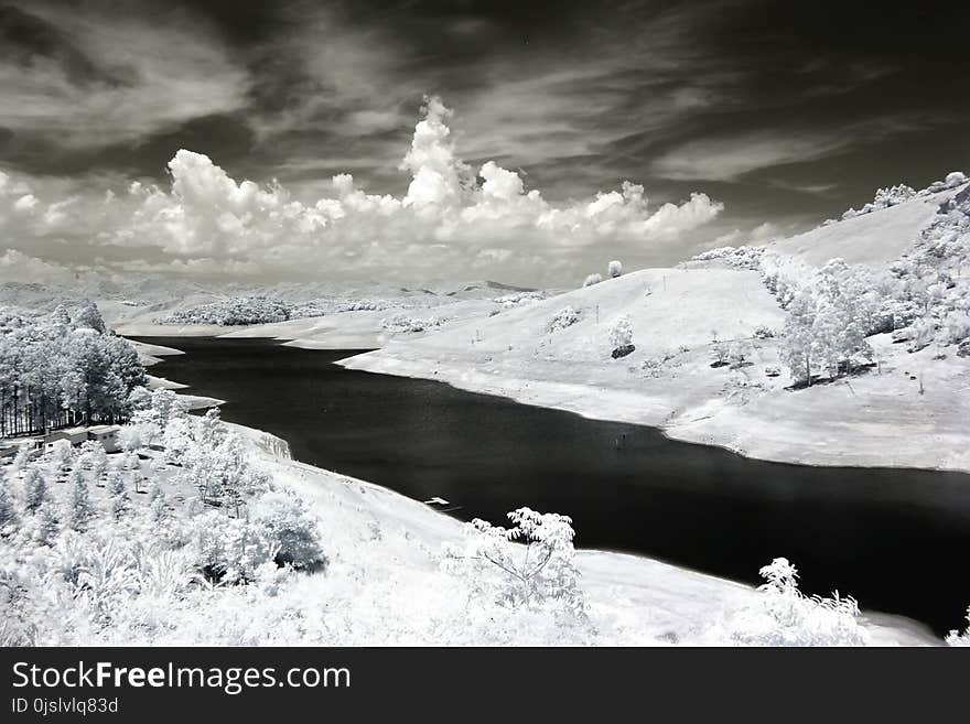 Snow Covered Trees Photo