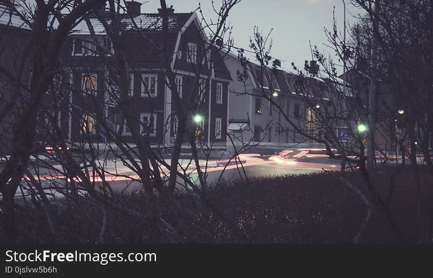 Photo of House Near Trees