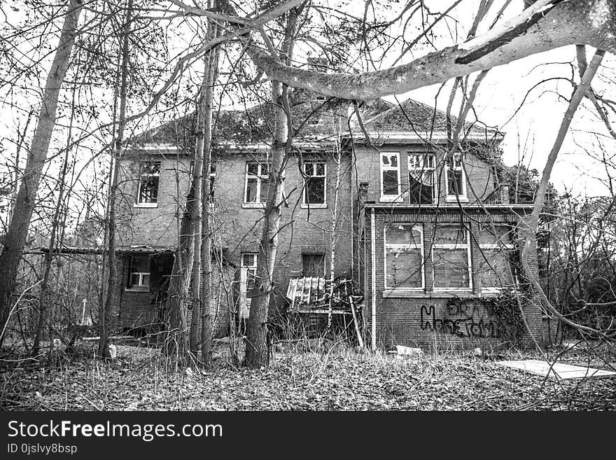 House Surrounded With Trees on Grayscale Photography