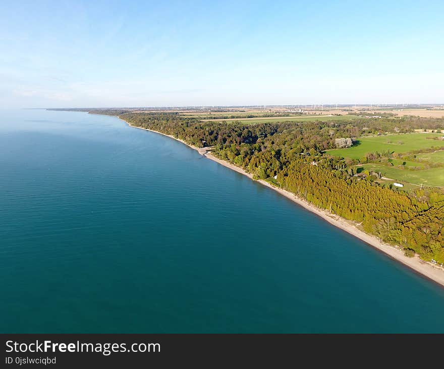 Trees on Seashore Under Clear Blue Sky at Daytime