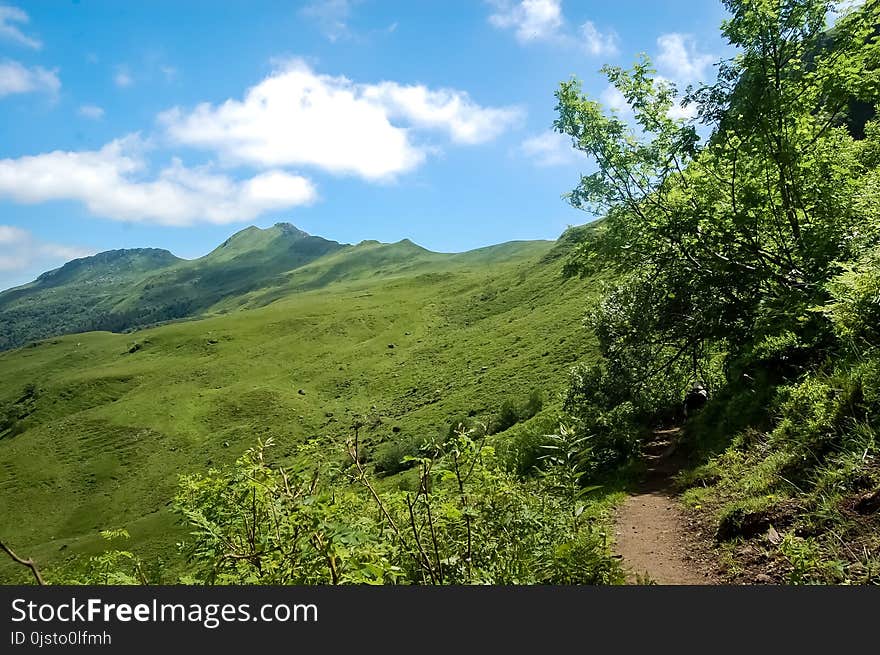 Vegetation, Highland, Nature, Sky