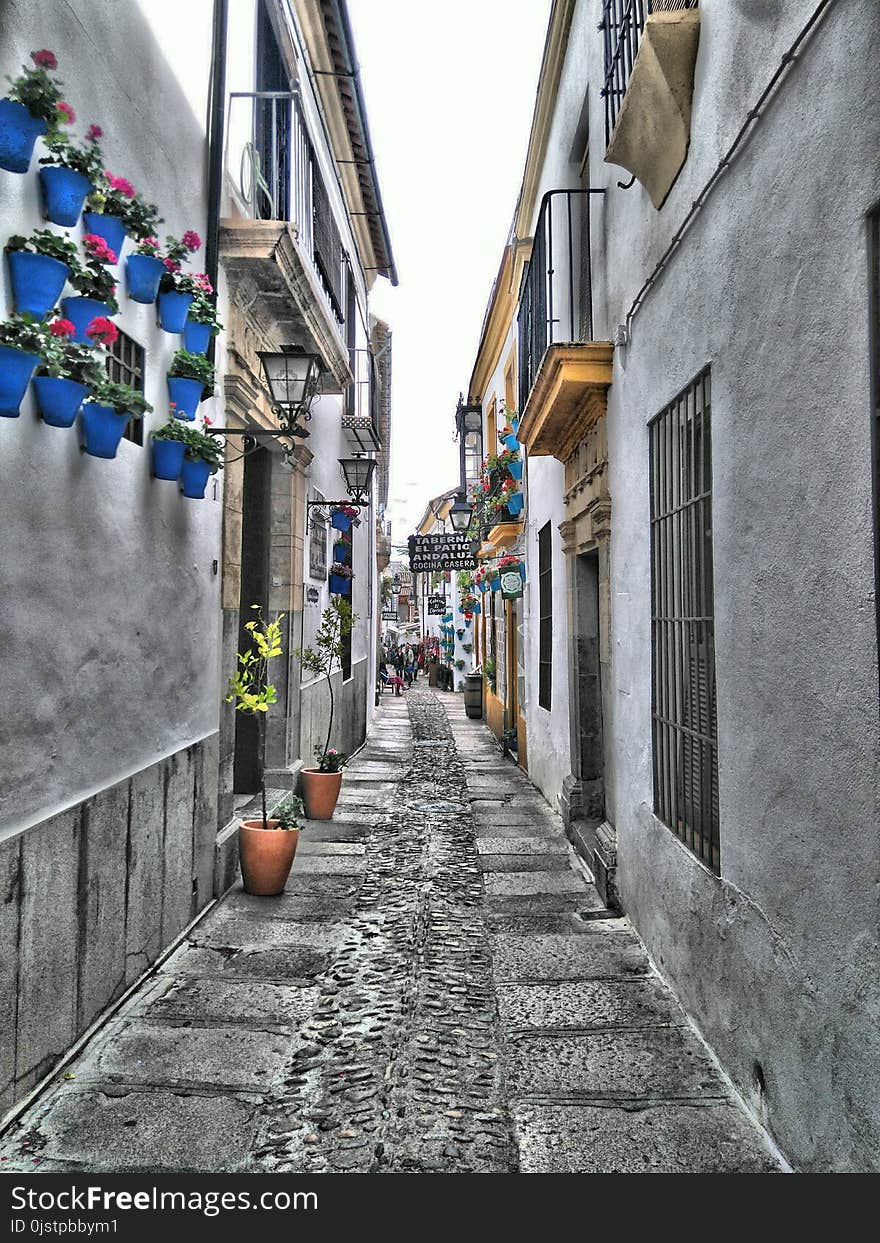 Road, Town, Alley, Street