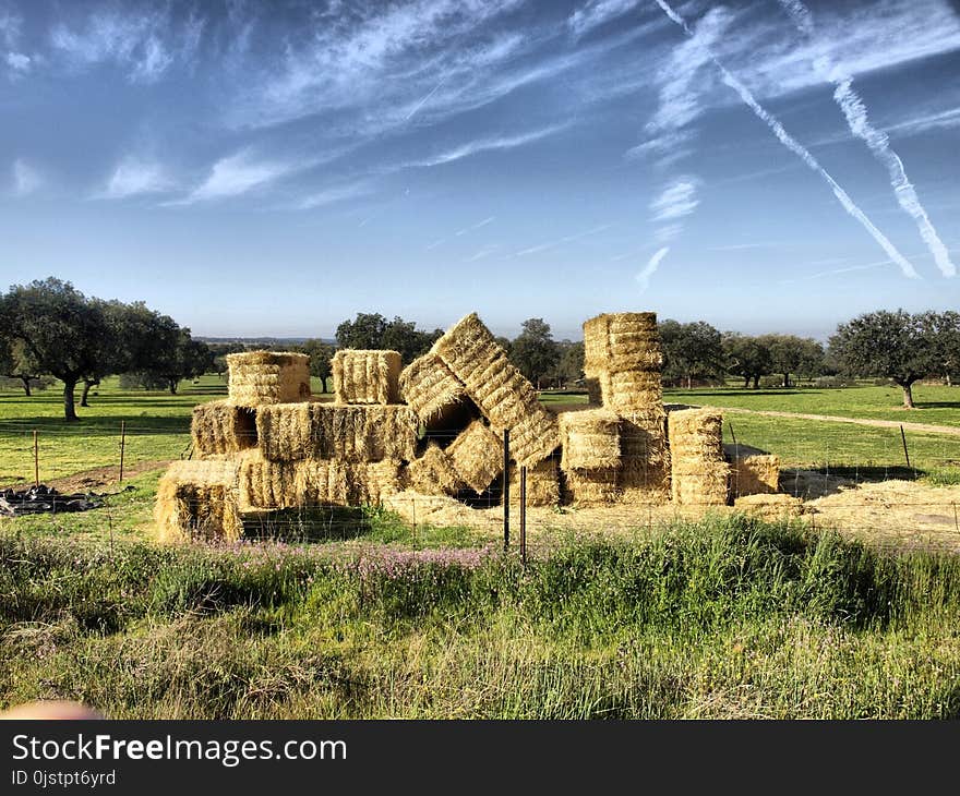 Hay, Straw, Sky, Archaeological Site