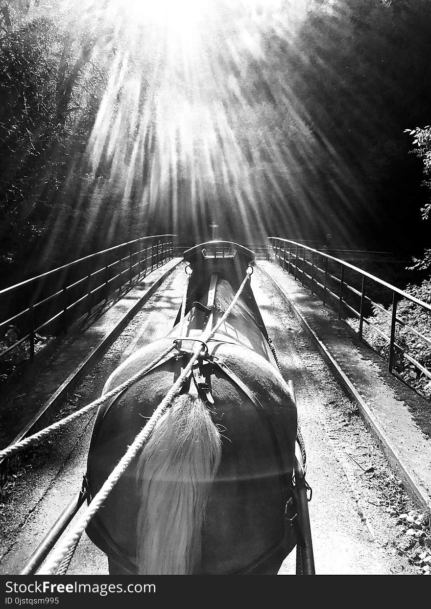 Black, Black And White, Monochrome Photography, Water