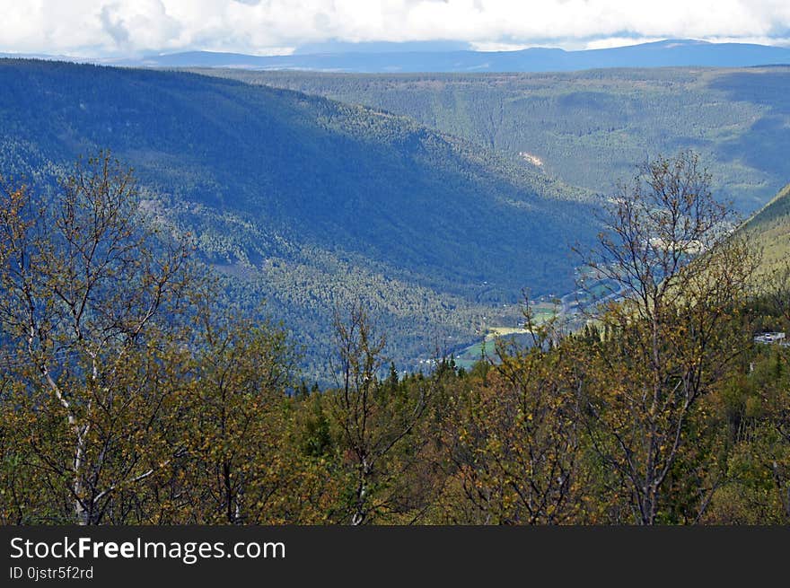 Wilderness, Ridge, Mountain, Ecosystem