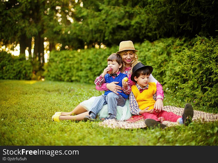 People, Photograph, Nature, Plant