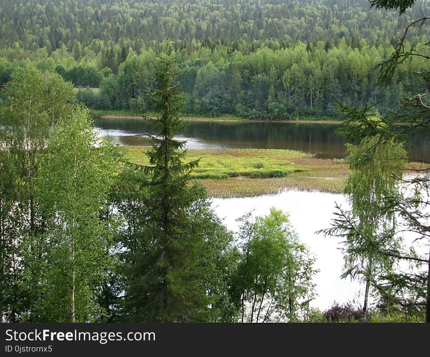 Ecosystem, Nature Reserve, Wilderness, Vegetation