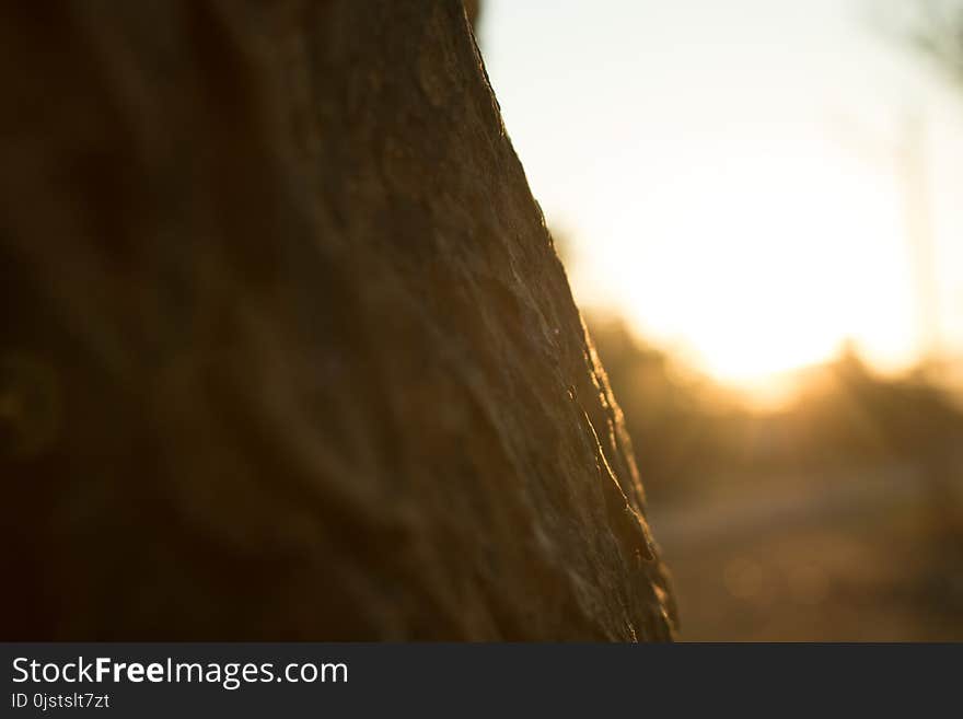 Light, Sky, Sunlight, Sun