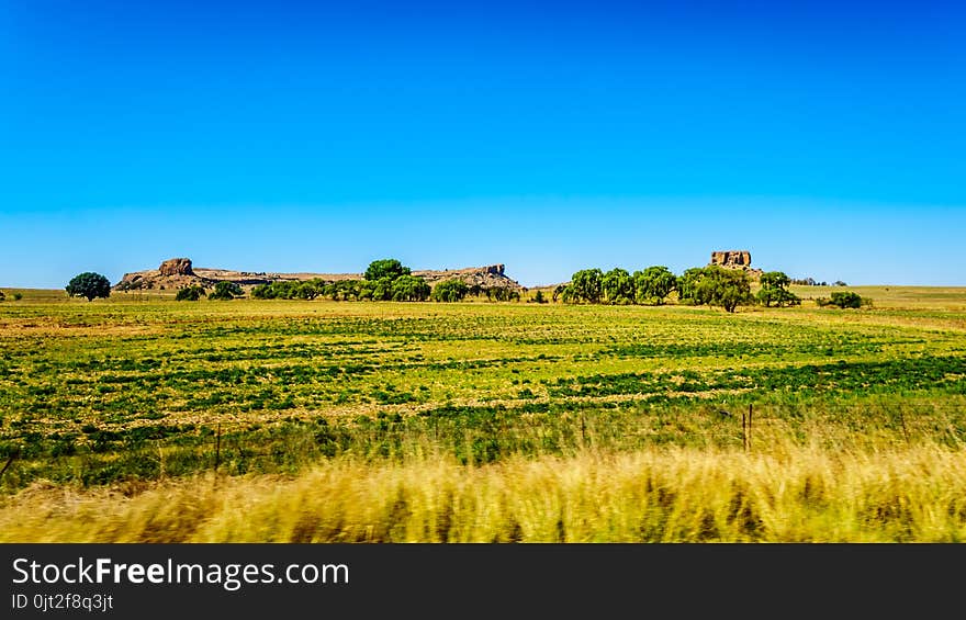 Fertile Farmland of the Free State province in South Africa