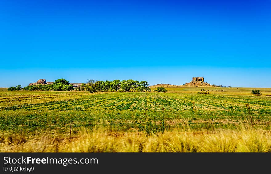 Fertile Farmland Of The Free State Province In South Africa