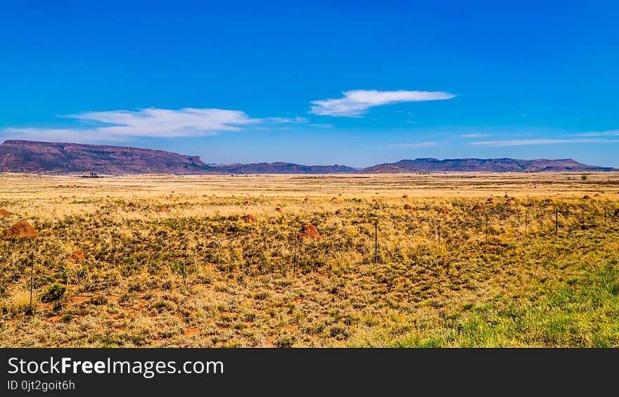 Endless wide open landscape of the semi desert Karoo Region in Free State and Eastern Cape provinces in South Africa under blue sky