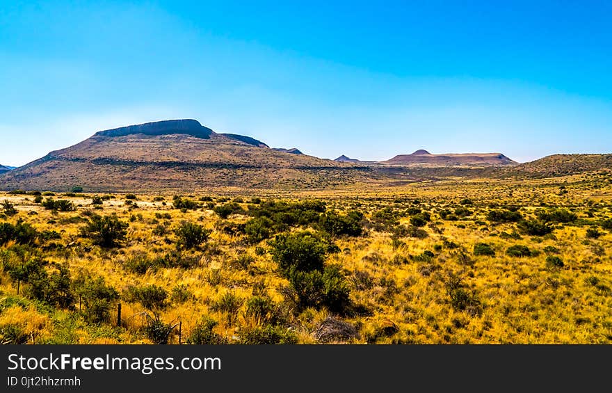 Landscape of the semi desert Karoo Region in Free State and Eastern Cape provinces in South Africa under blue sky